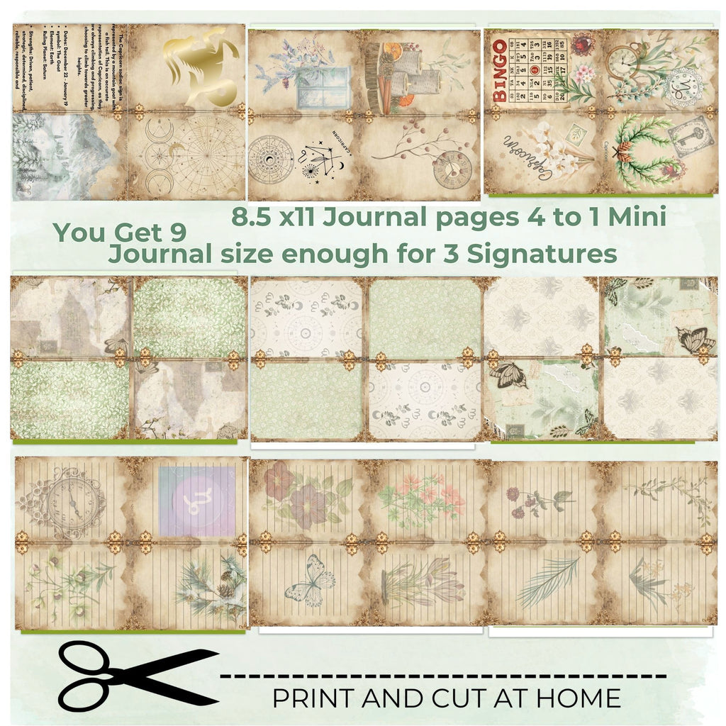 Capricorn Zodiac Mini Journal Kit